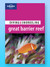 Great Barrier Reef: Diving & Snorkeling Guide Lonely Planet