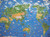 Childrens World Map Illustrated Hema