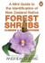 A Mini Guide To New Zealand Native Forest Shrubs