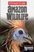 Amazon Wildlife Insight Travel Guides