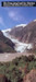 Franz Josef and Fox Glaciers Natural History Brochure