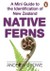 A Mini Guide to the Identification of New Zealand Native Ferns