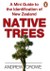 A Mini Guide to the Identification of New Zealand Native Trees