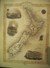 New Zealand by John Rapkin Print